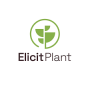 Elicit Plant