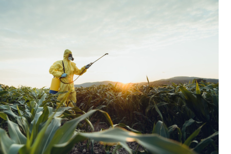 Топ найкращих гербіцидів суцільної дії