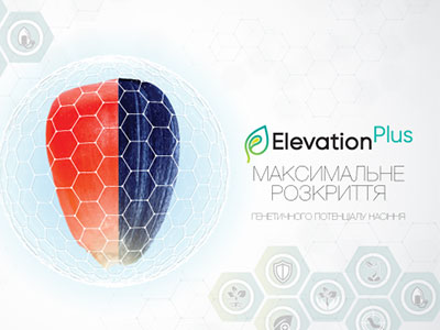 Elevation обирай — урожай рясний збирай!