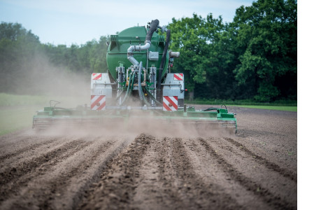 Добрива з сульфатом магнію: види, правильне дозування та можливі нюанси застосування