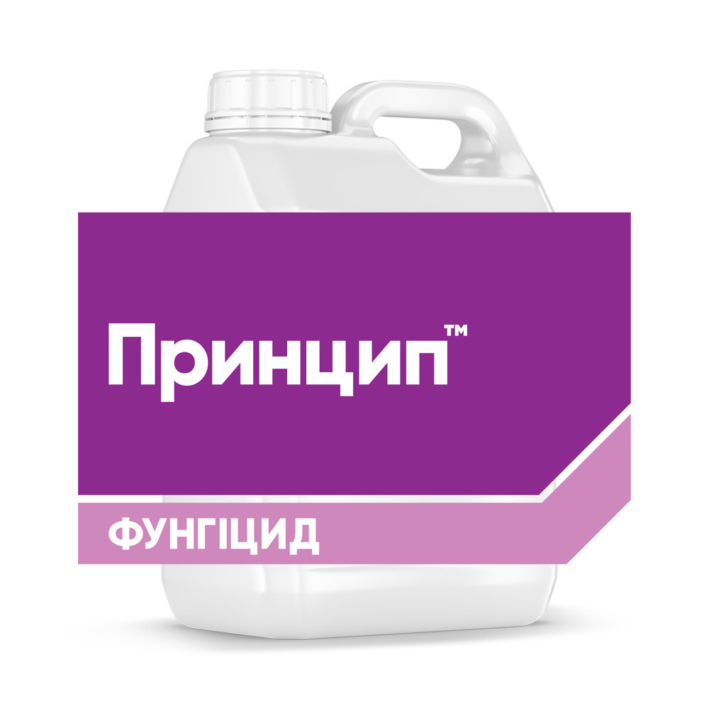 Фунгіцид Принцип